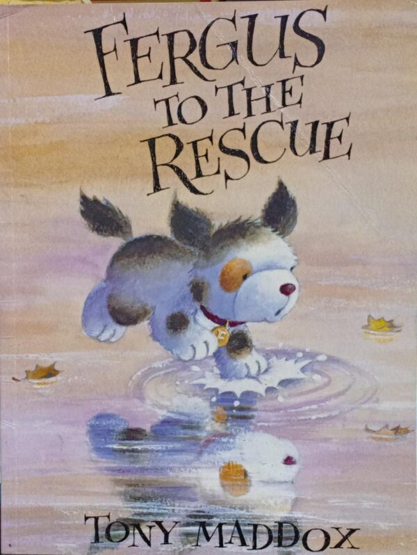 Fergus to the Rescue